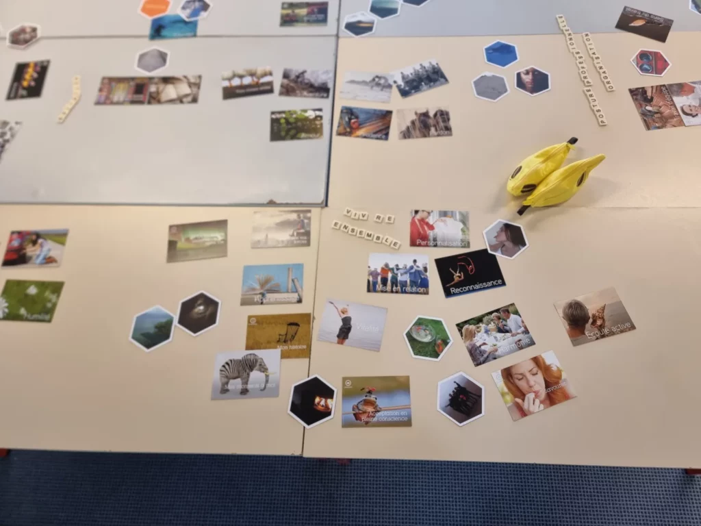 Formation GCSMS Césames 4